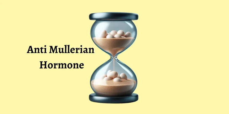 Η Αντιμυλλέριος Ορμόνη (AMH) και η σημασία της για τη γονιμότητα