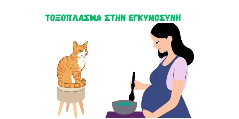 Τοξόπλασμα στην Εγκυμοσύνη: Πώς να Προστατευτείτε και Τι Πρέπει να Ξέρετε