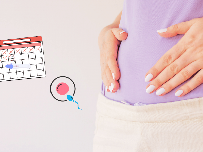 Απεικόνιση των πρώτων συμπτωμάτων της εγκυμοσύνης με ένα ημερολόγιο με σταυρωμένες ημέρες, ένα τεστ εγκυμοσύνης, και ένα σπερματοζωαριο διπλα σε ενα ωάριο, δίπλα στα χέρια μιας γυναίκας που ακουμπούν την κοιλιά της
